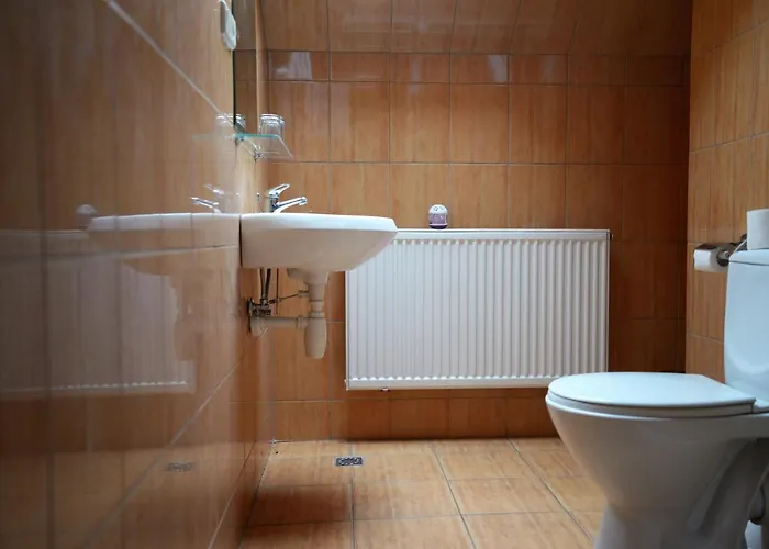 Gosciniec Czarci Mlyn Bed & Breakfast Będzin